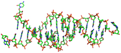 triple helical DNA