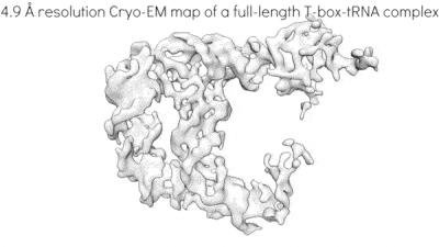 CryoEM map